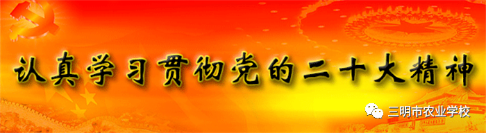 1700305691349669.png