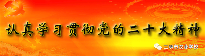 1700654346932011.png