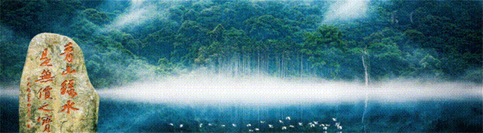 1755398535169232.gif